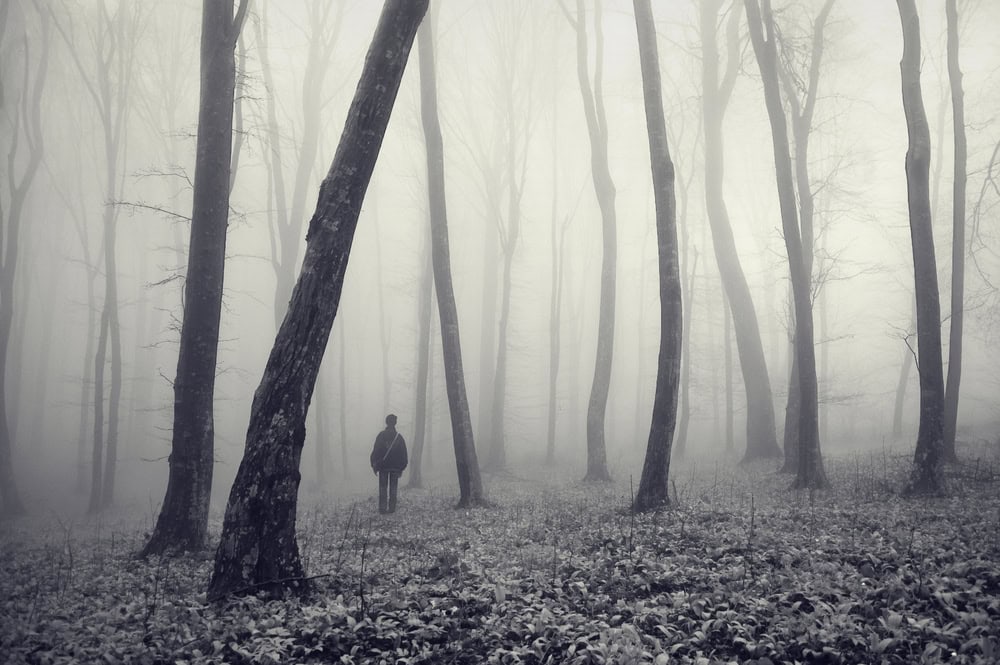 Lost in a forest of bad sales process